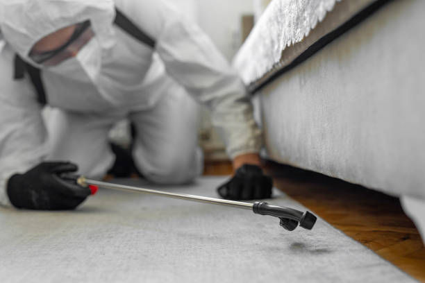 Professional Termite Control technician working in Arcola, IL