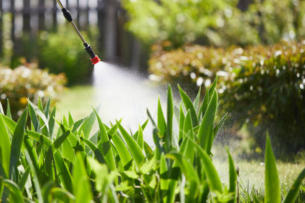 24/7 Emergency Termite Control experts in Arcola, IL