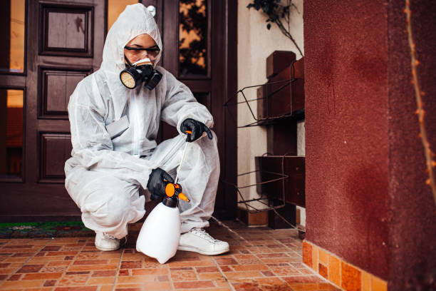 Reliable Termite Control contractor in Arcola, IL by Nex Pest Control
