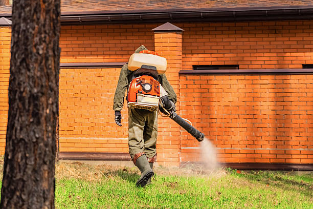Top rated local Termite Control specialists in Arcola, IL